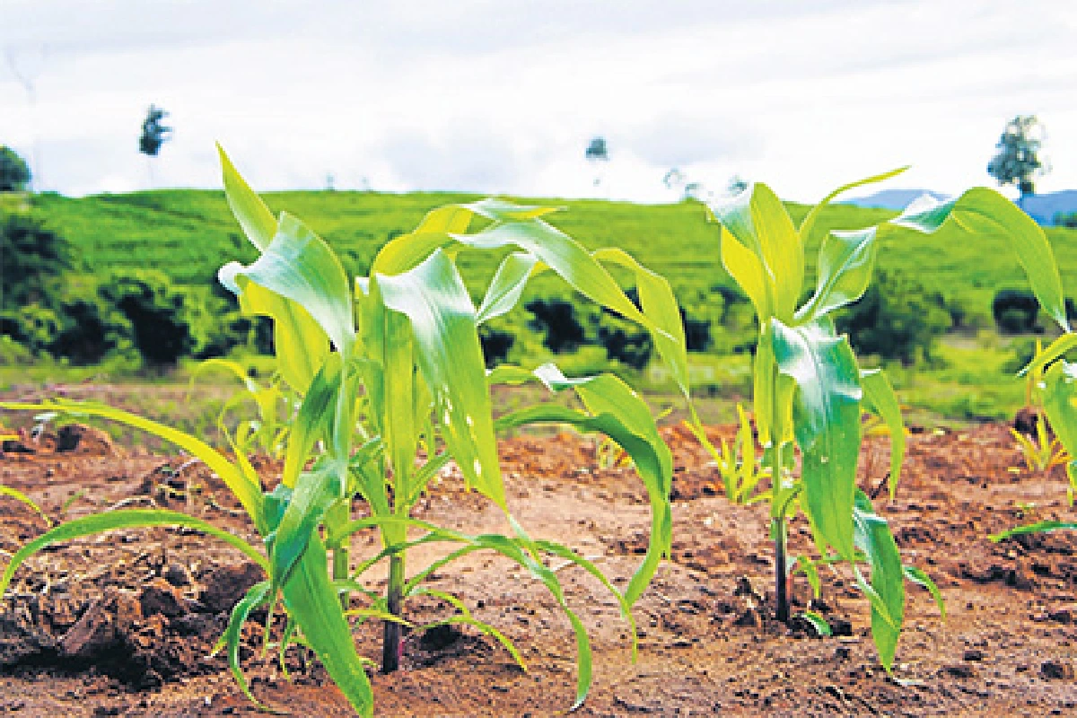 ดินถล่มฟื้นฟูได้ที่อุตรดิตถ์