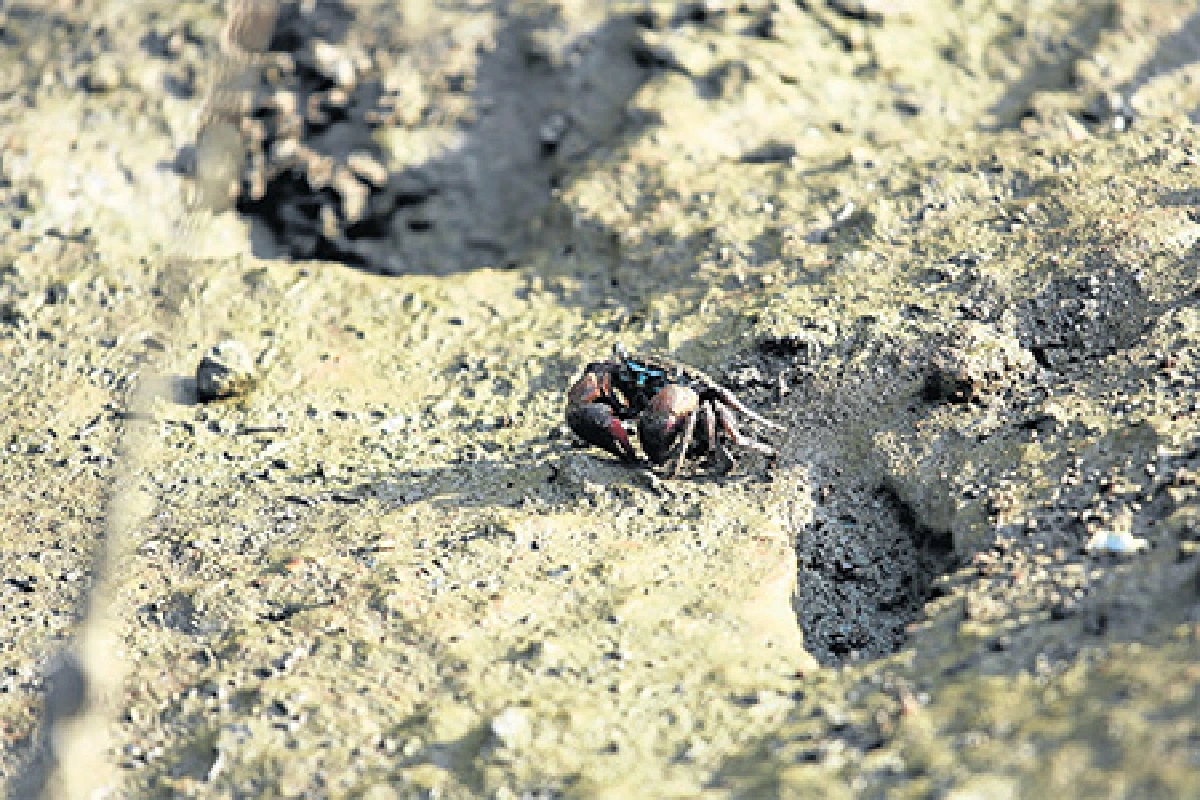 มหัศจรรย์เมืองไทยฯ ตอน รางวัลกินรี รางวัลแห่งคนท่องเที่ยว