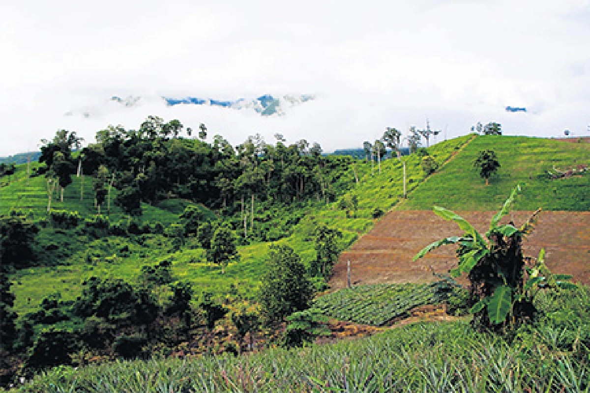 ดินถล่มฟื้นฟูได้ที่อุตรดิตถ์