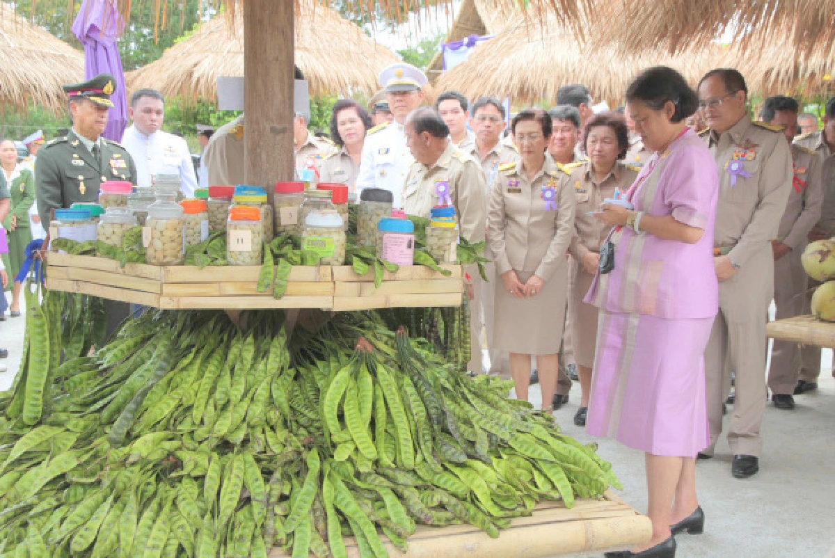 สมเด็จพระเทพฯเสด็จนราธิวาส