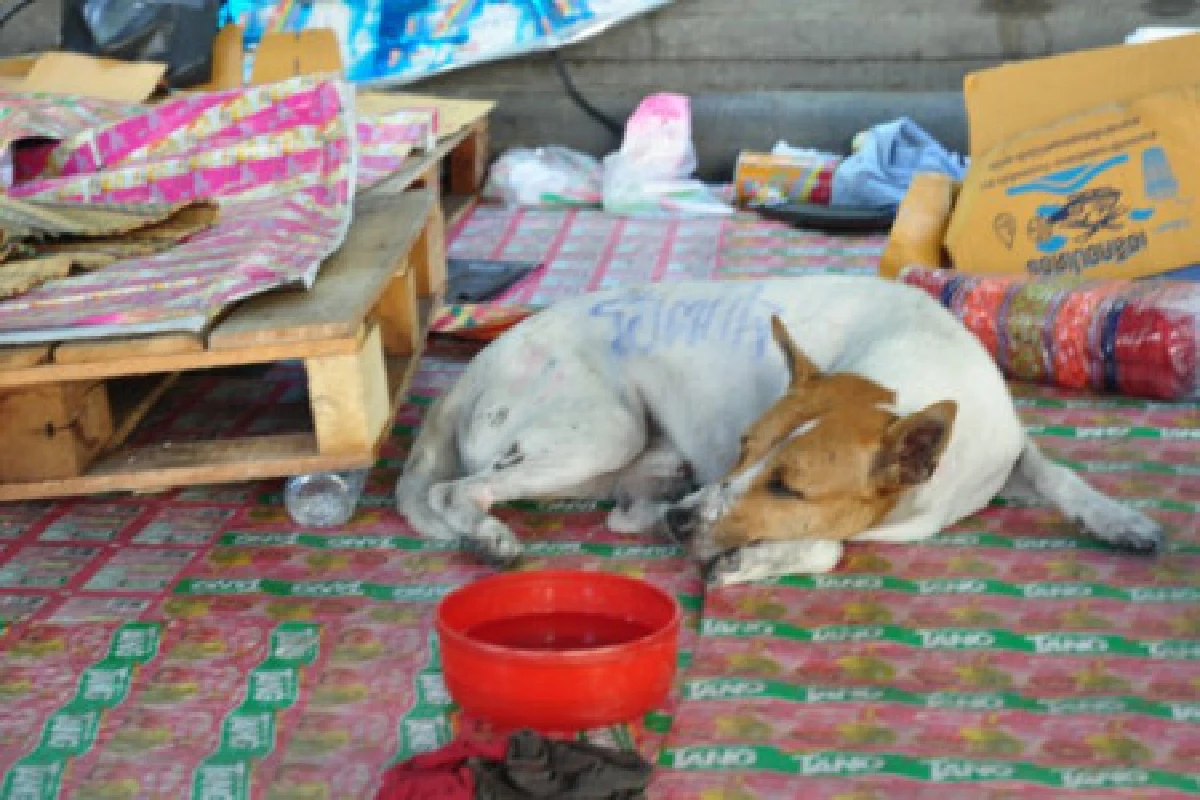 ลืมแล้วหรือ?"สำนวนที่หายไป"