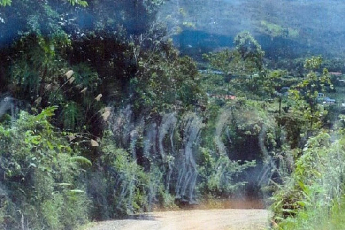 ภาพถ่ายติดวิญญาณเชลยศึกสงครามโลก