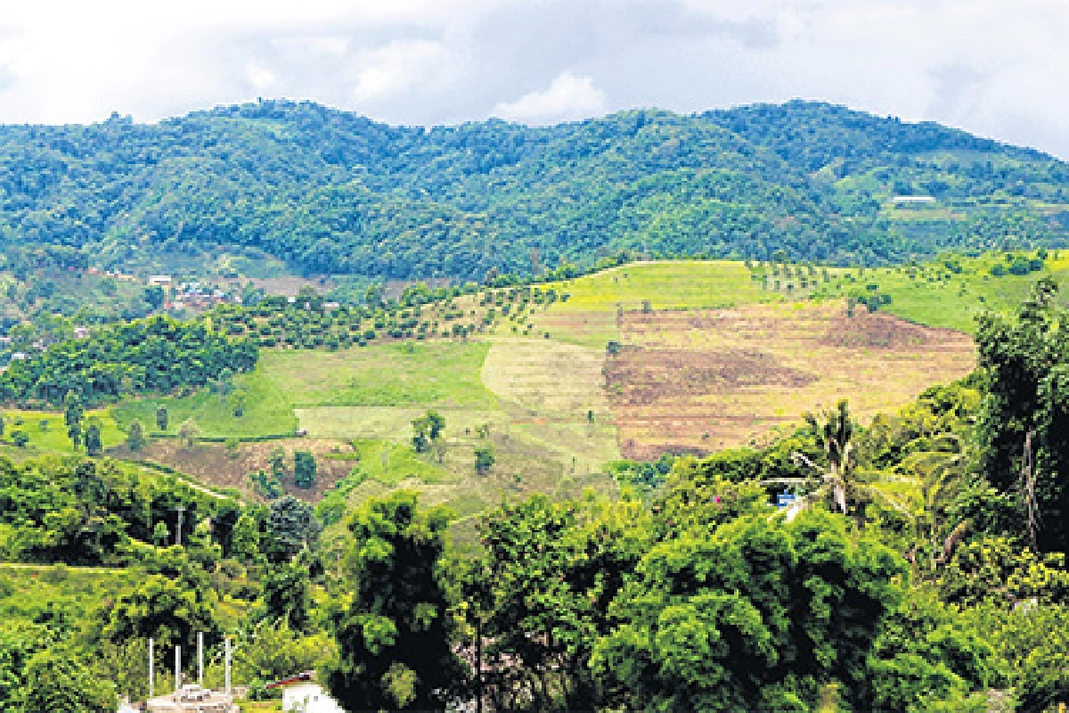 เชียงราย วิถีเกษตรแห่งขุนเขาและสายหมอก
