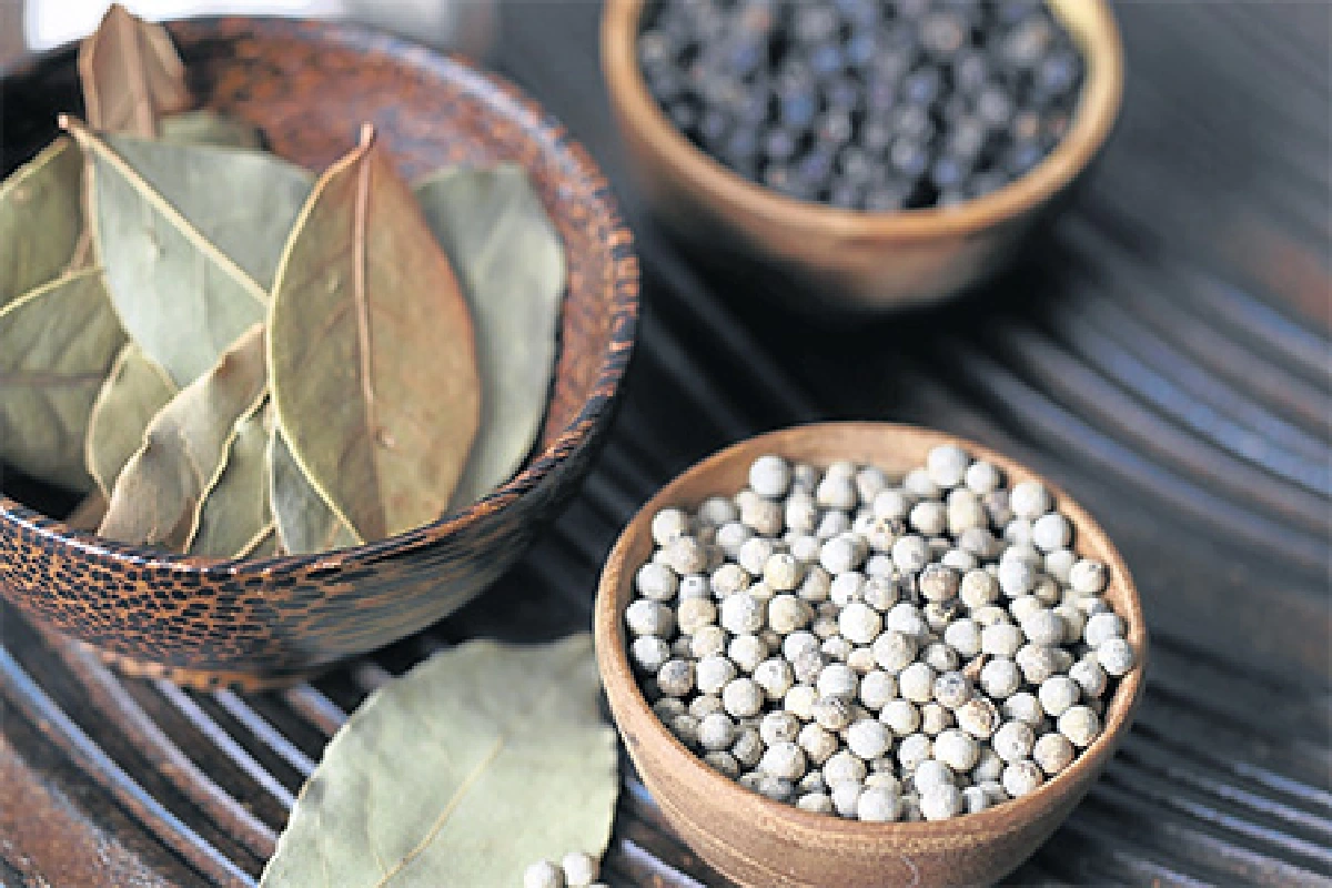 10 ASEAN Dish รู้จักเพื่อนบ้านผ่านอาหาร Chicken Adobo พะโล้ไก่ตากาล็อก