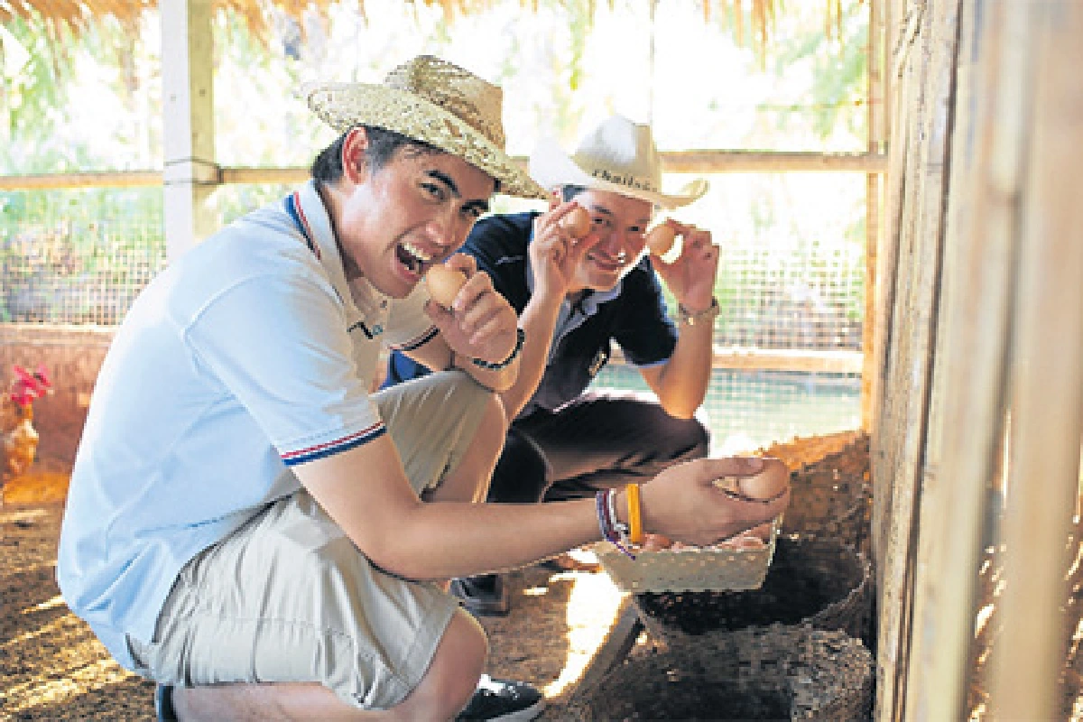 ทีวีไฮไลท์