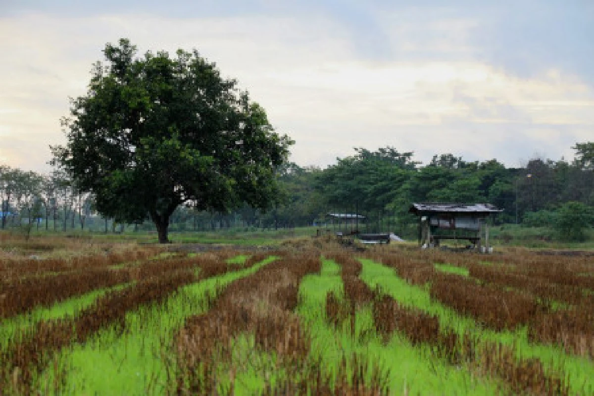 รีวิวแคนนอน650D"ครบ"ทุกการใช้งาน