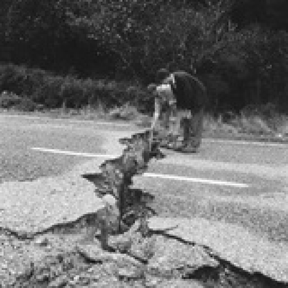 Rupture Or Burst Rupture Or Burst