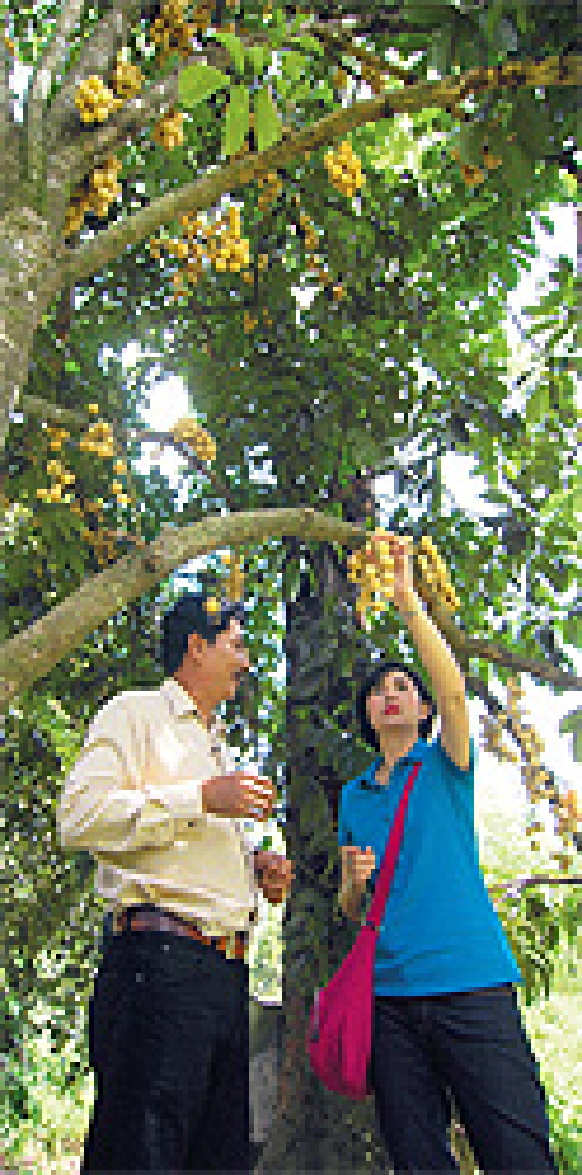 ‘สุราษฎร์ธานี’ เมืองนี้หรอยจังฮู้