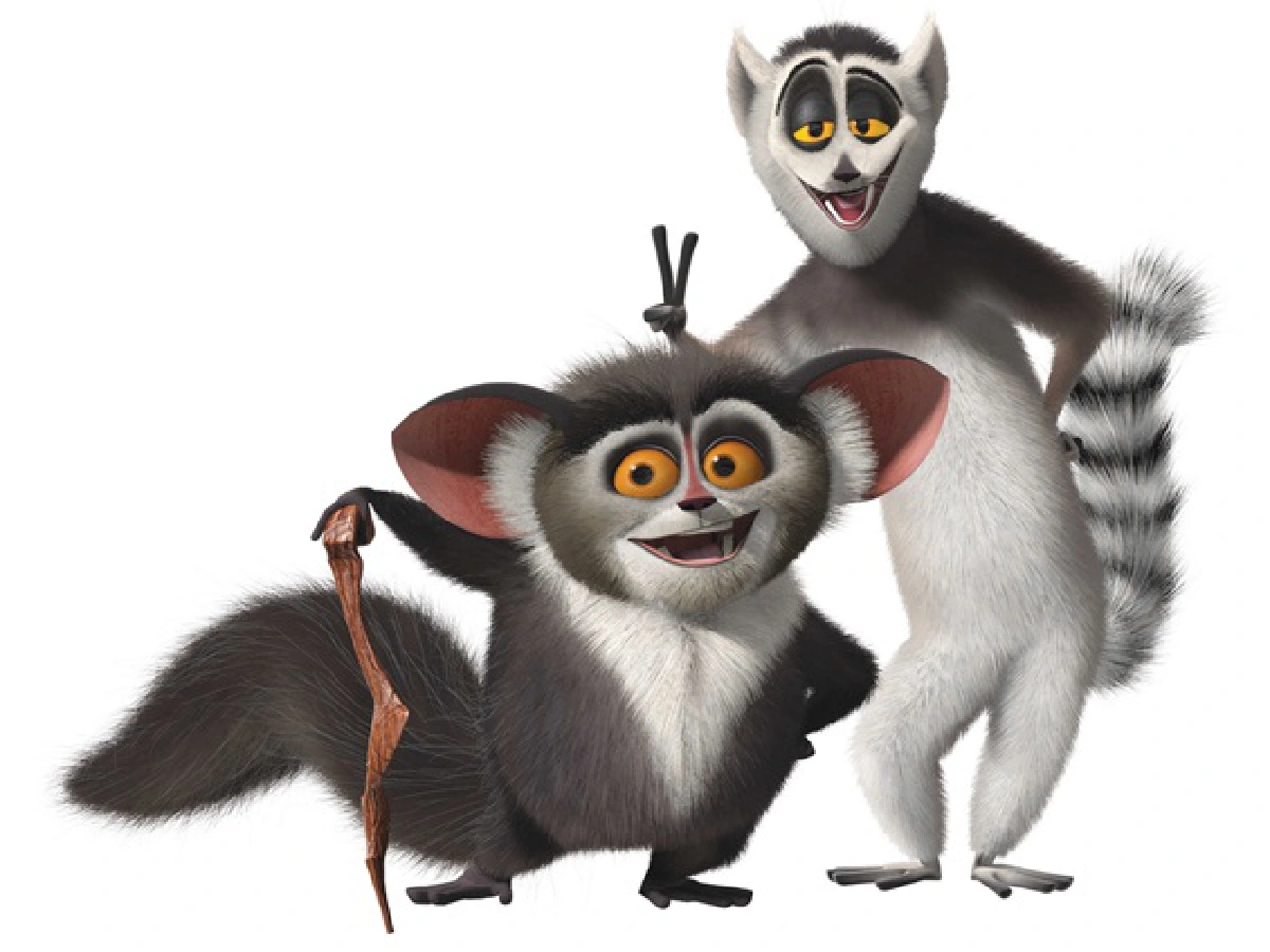 Endangered lemurs