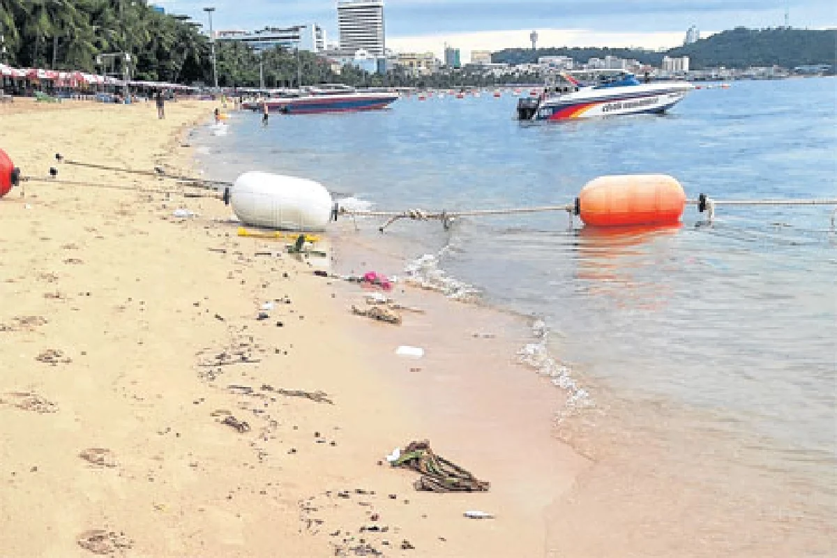 เก็บขยะให้หาดสวยให้น้ำใส เพื่อทุกชีวิตในท้องทะเล