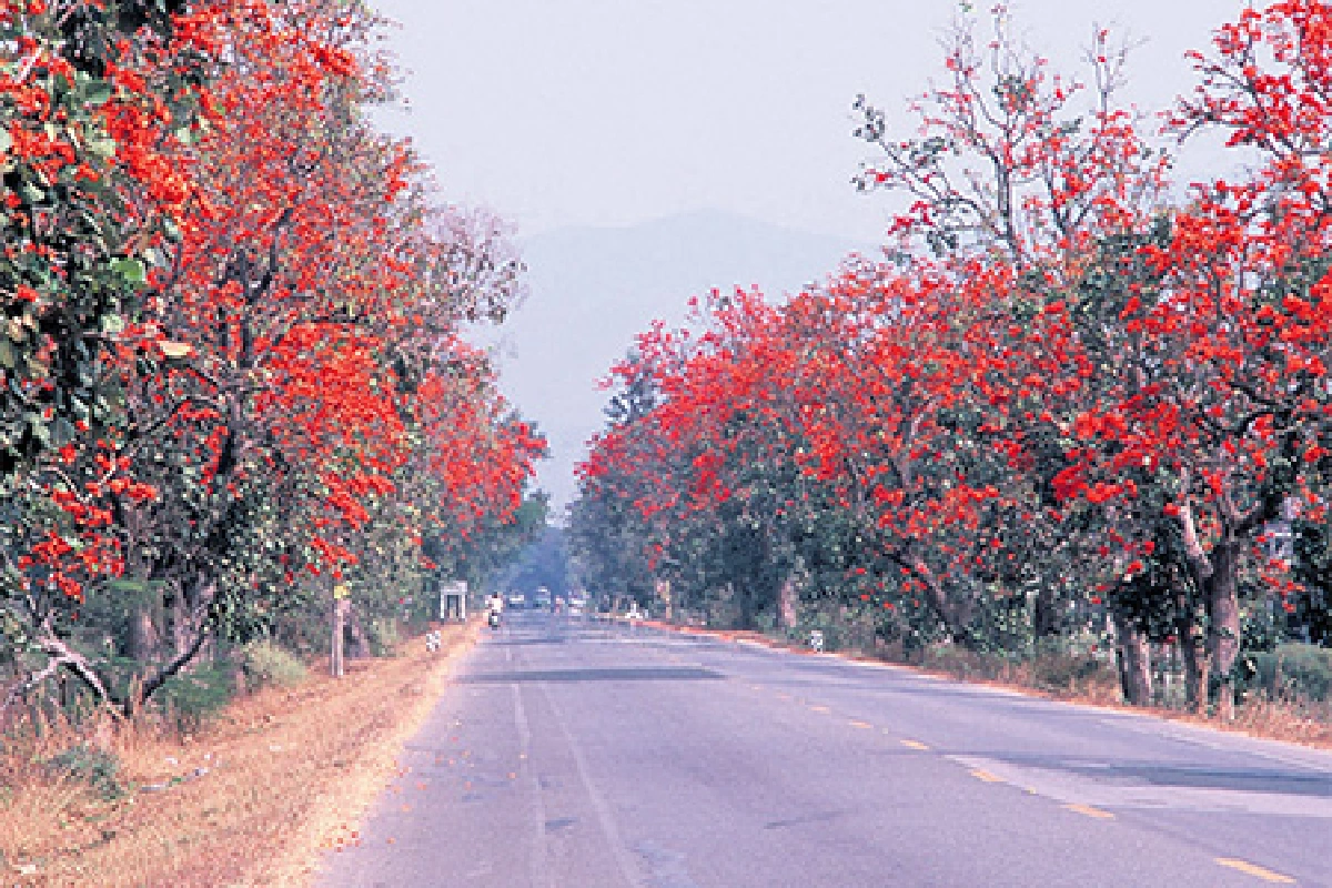 เที่ยวไทยหัวใจใหม่ ตอน หนาวนี้ แอ่วเหนือกันเถอะ