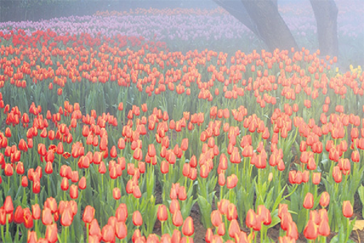 เที่ยวไทยหัวใจใหม่ ตอน หนาวนี้ แอ่วเหนือกันเถอะ