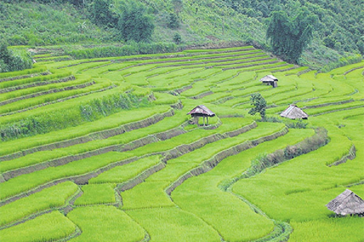 เที่ยวไทยหัวใจใหม่ ตอน หนาวนี้ แอ่วเหนือกันเถอะ
