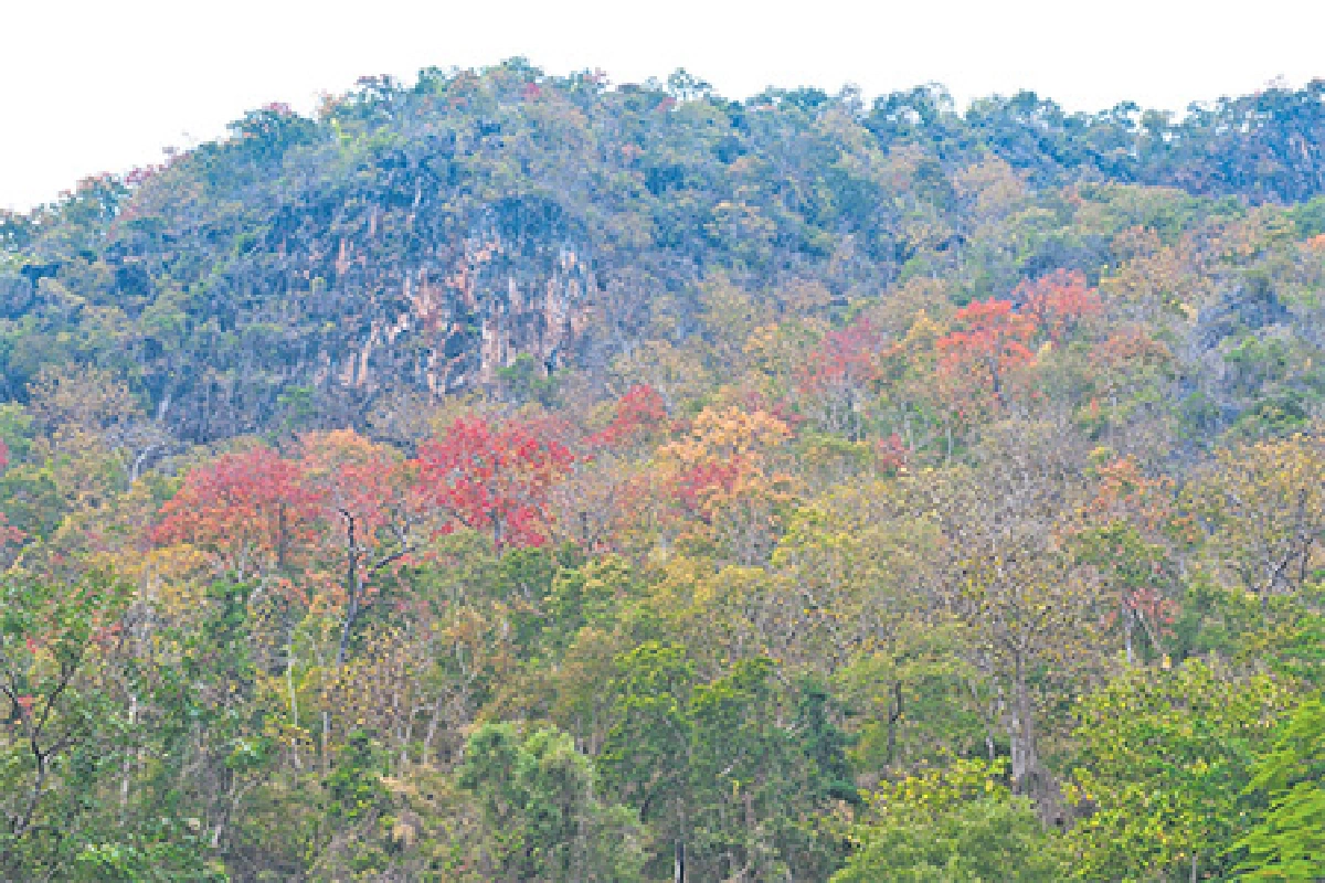 เที่ยวไทยหัวใจใหม่ ตอน หนาวนี้ แอ่วเหนือกันเถอะ