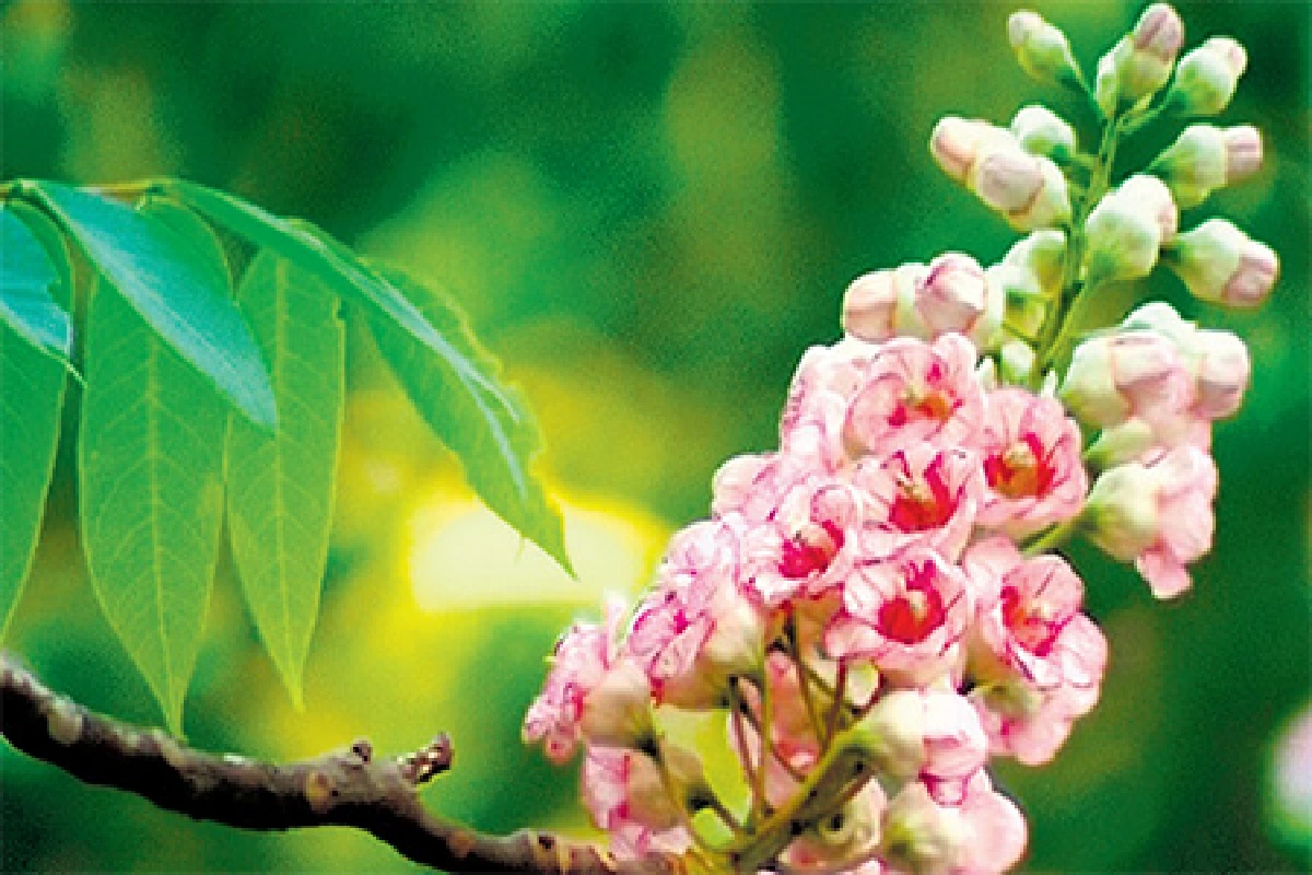 เที่ยวไทยหัวใจใหม่ ตอน หนาวนี้ แอ่วเหนือกันเถอะ