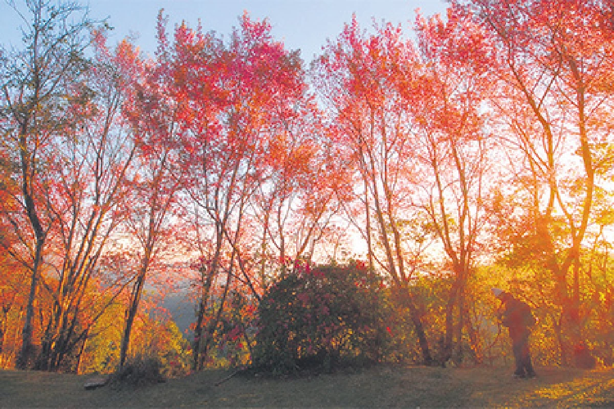 เที่ยวไทยหัวใจใหม่ ตอน หนาวนี้ แอ่วเหนือกันเถอะ
