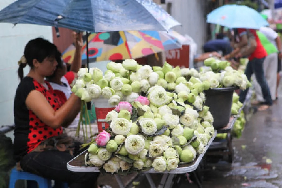 ประเพณีรับบัวที่บางพลีสุดตระการตา