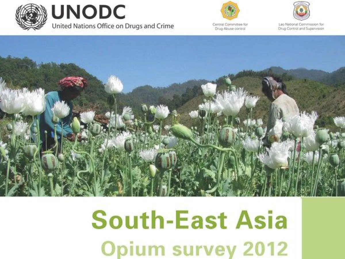Illegal drugs: Production rising in Myanmar
