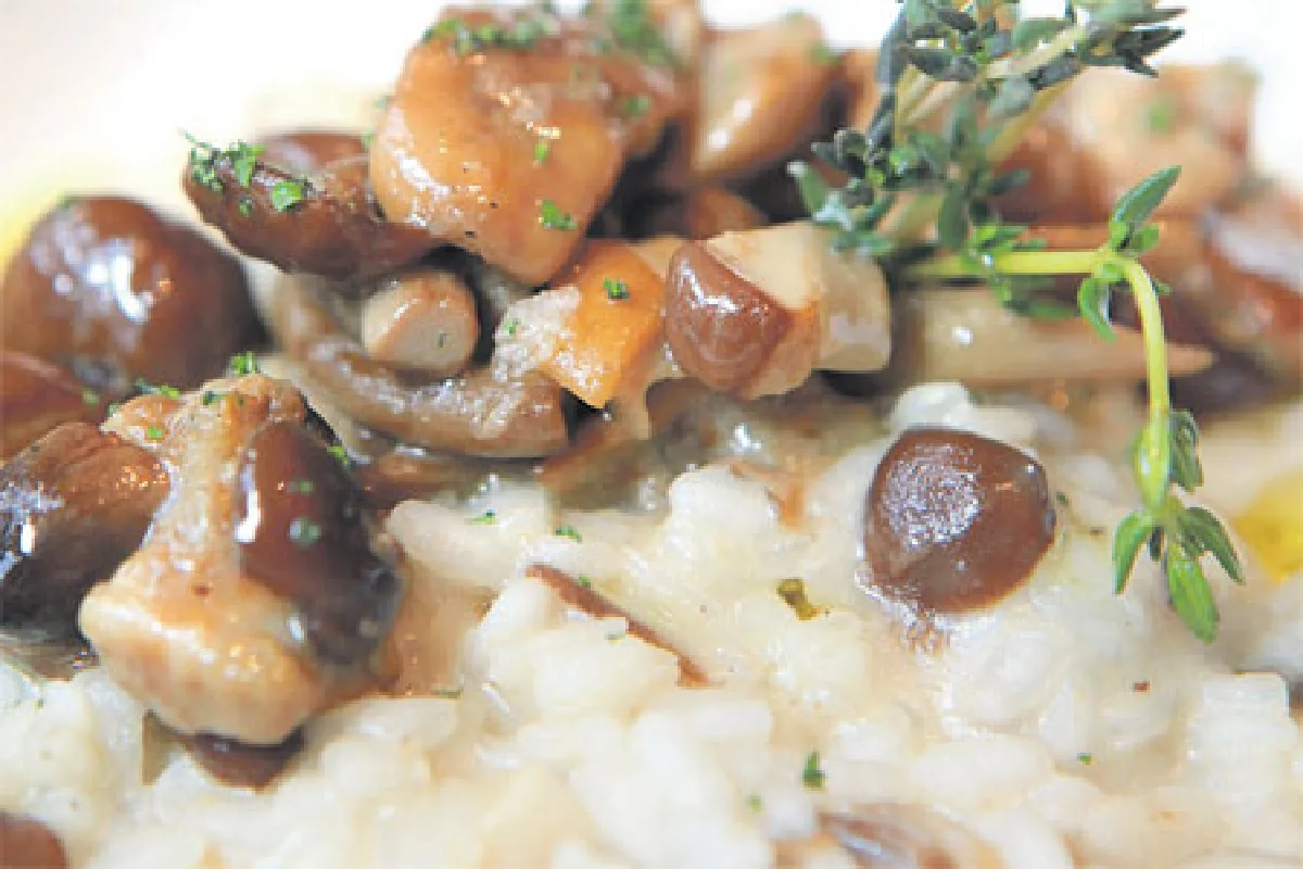 ริซอตโตร้อนๆ สักจานมั้ยคะ