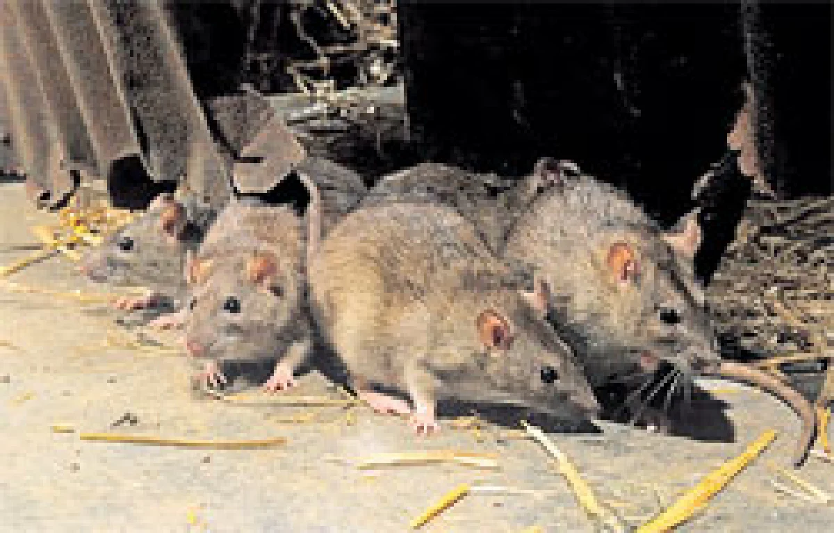 ซึ้ง สุข ฮา  นานาเรื่องจาก ‘แซนดี’