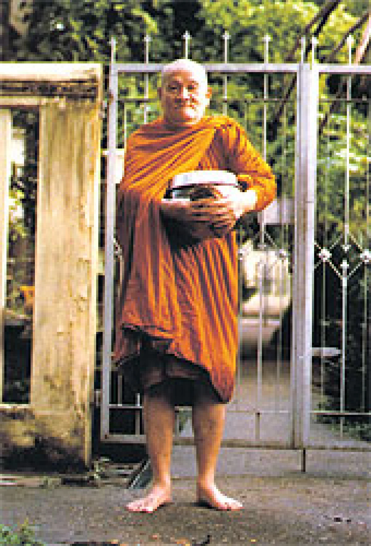 ไม้ไม่สืบผล...จันทร์หนีพันธนาการสมเด็จพระวันรัต (นิรันดร์นิรันตโร)