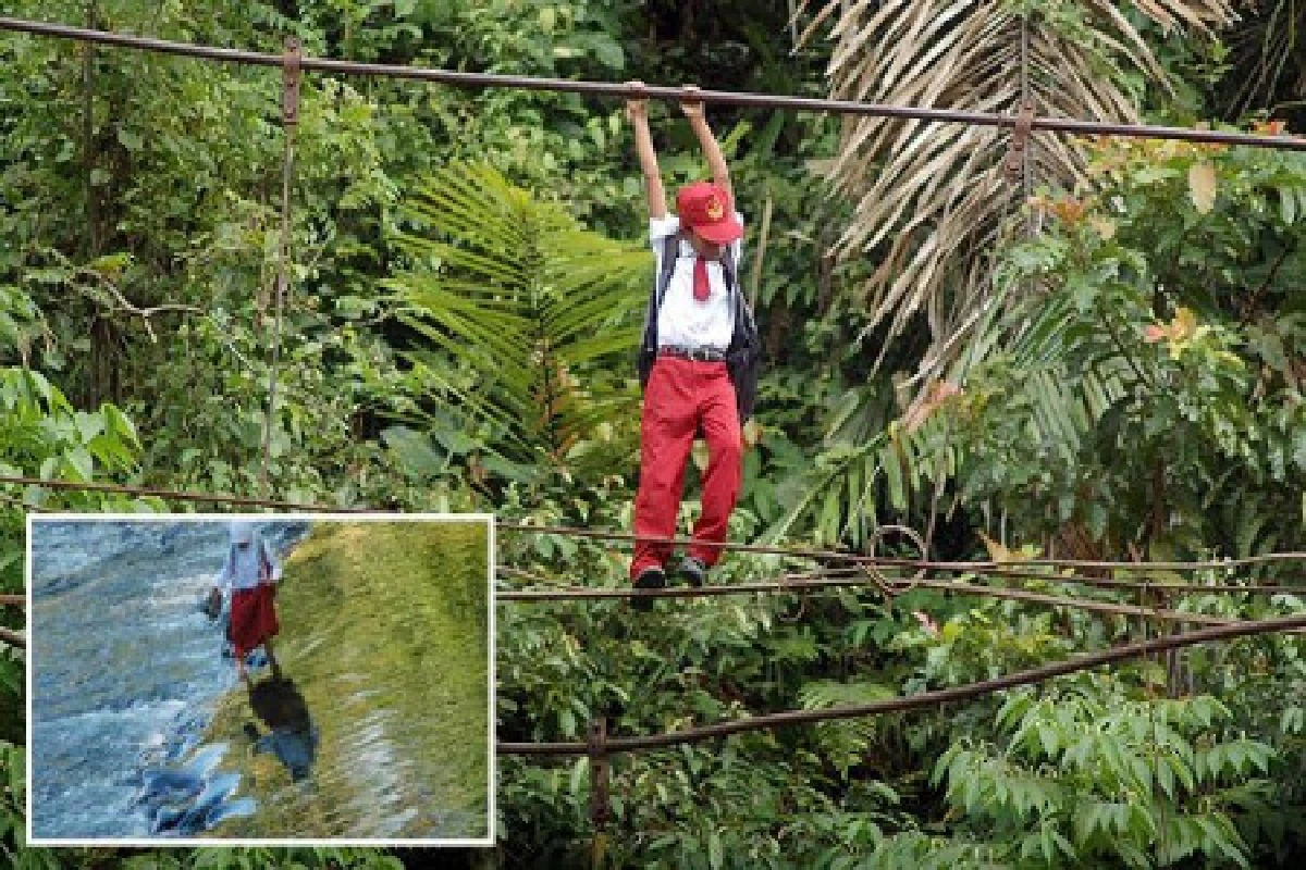 เด็กอินโดฯไต่เชือกข้ามแม่น้ำไปโรงเรียน
