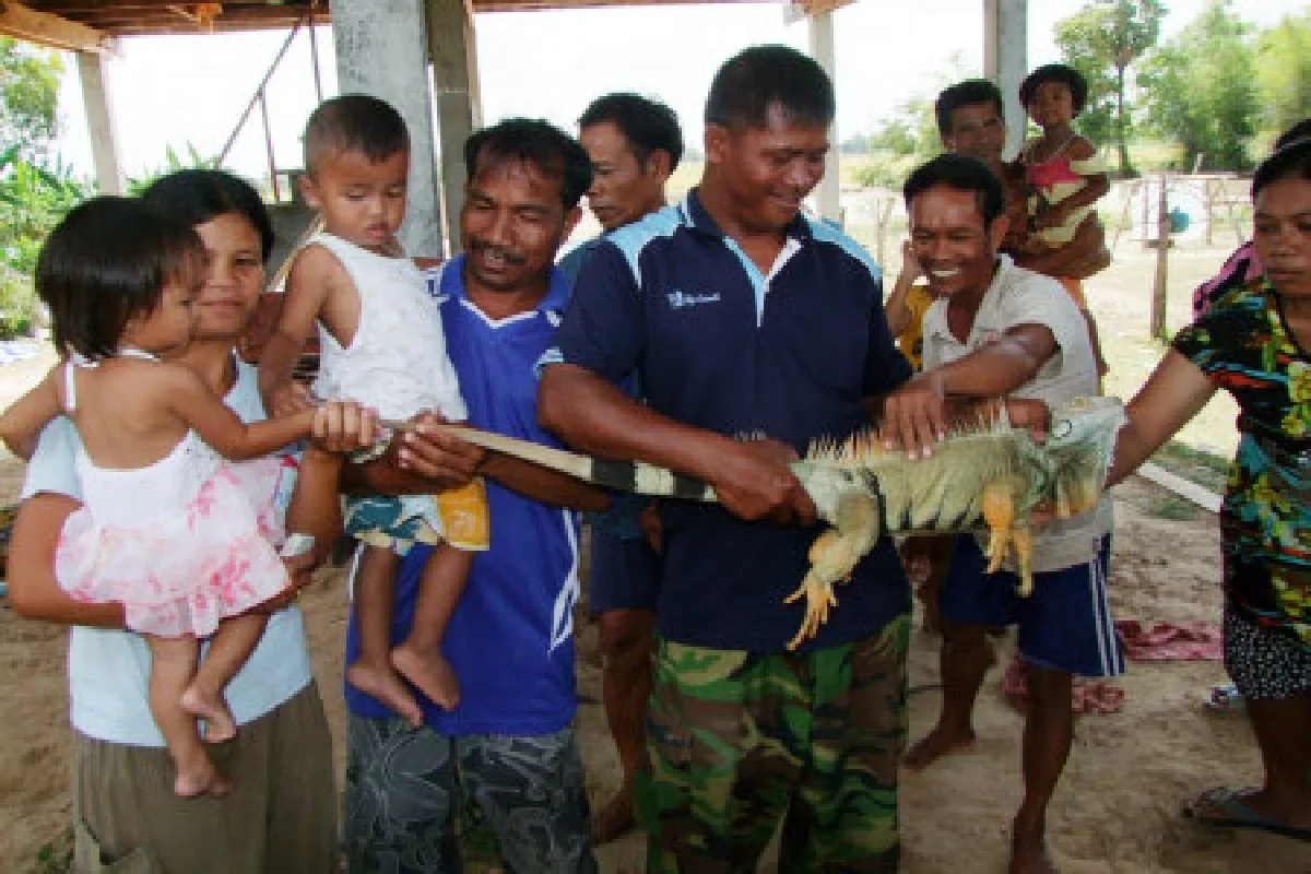 คนบุรีรัมย์จับอีกัวน่ายักษ์โผล่ป่าอ้อย