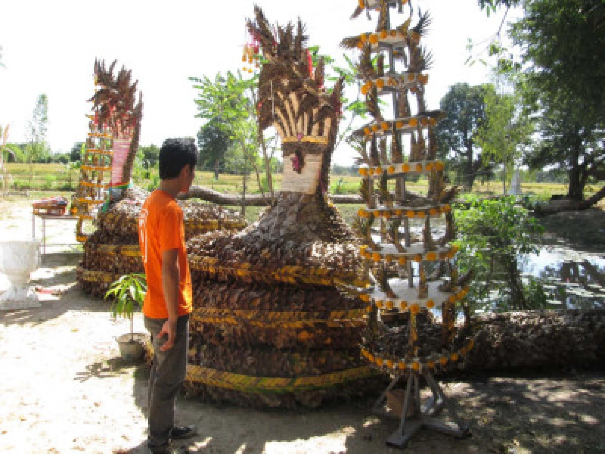 ชาวบ้านแห่กราบไหว้พญานาคใบตอง