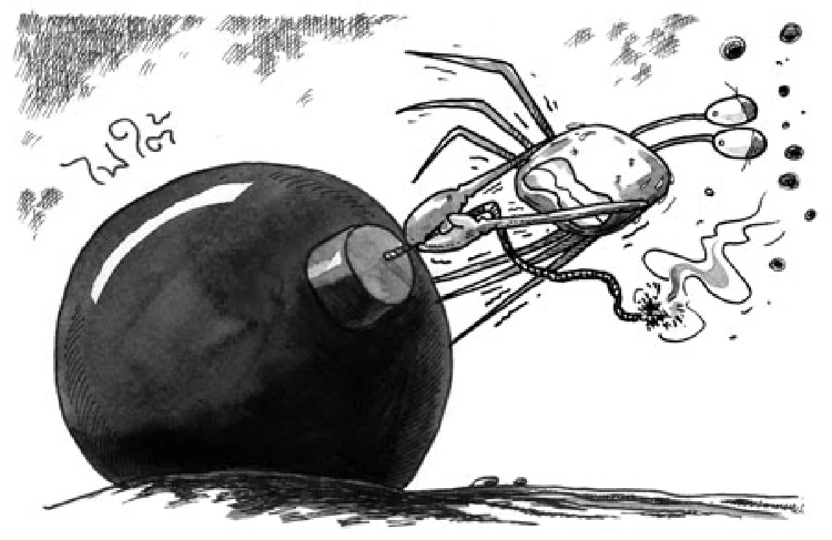 การ์ตูนทูเดย์ : ไฟใต้