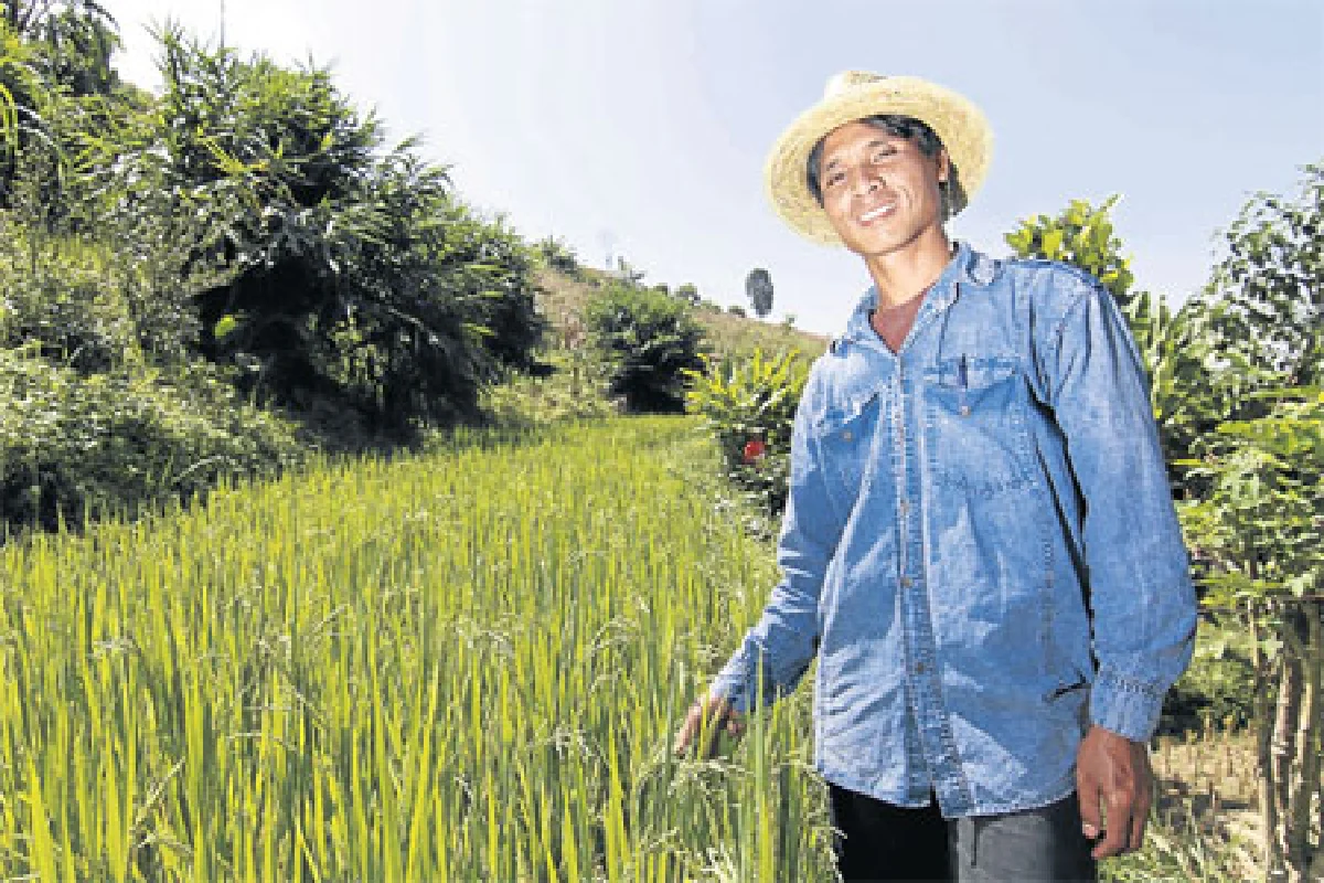 เกษตรอินทรีย์ วิถีสีเขียวของชาวลัวะ