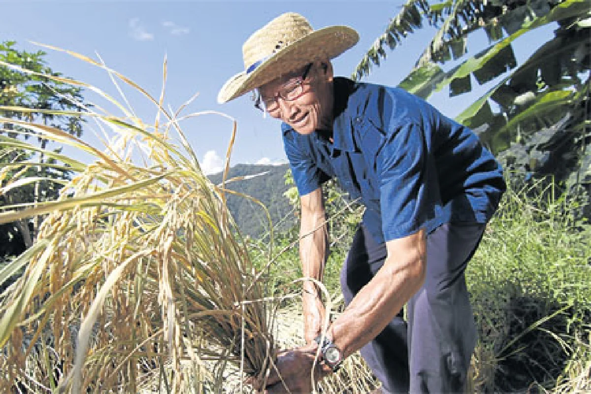 เกษตรอินทรีย์ วิถีสีเขียวของชาวลัวะ