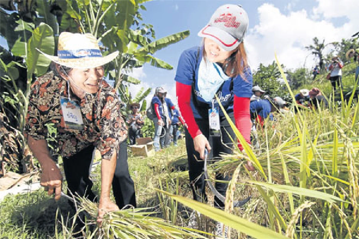 เกษตรอินทรีย์ วิถีสีเขียวของชาวลัวะ