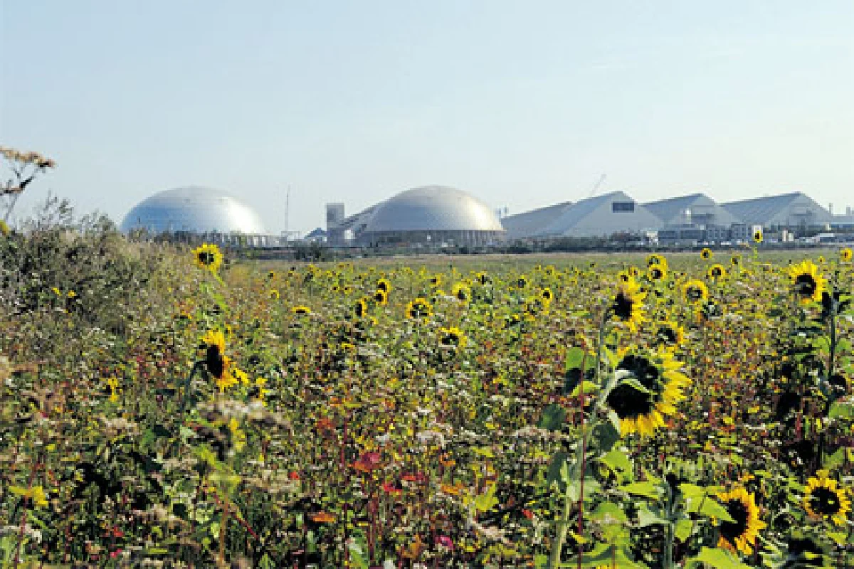 อุตสาหกรรมเกาหลีกับวิถีเกษตรกรรม