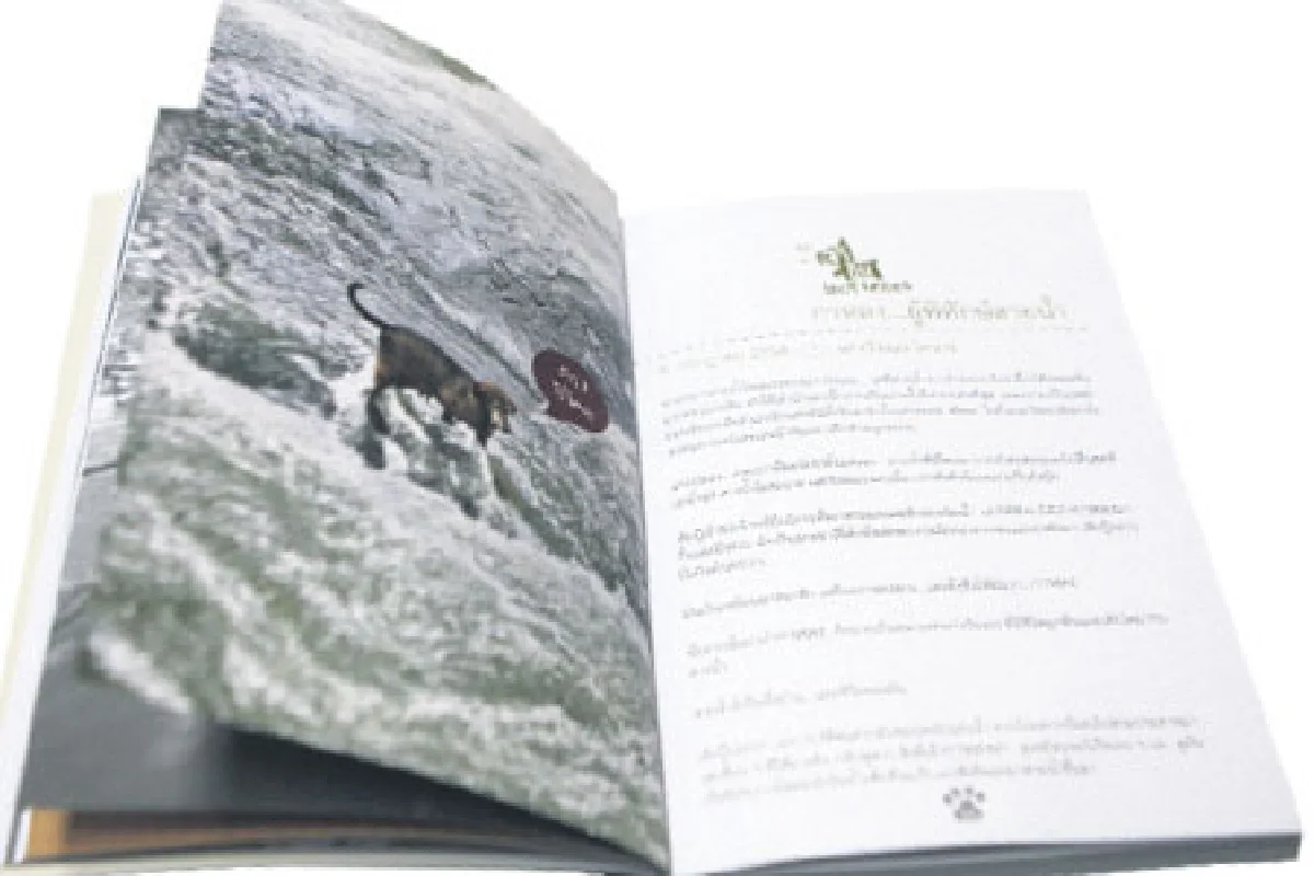 เจ้าถิ่น