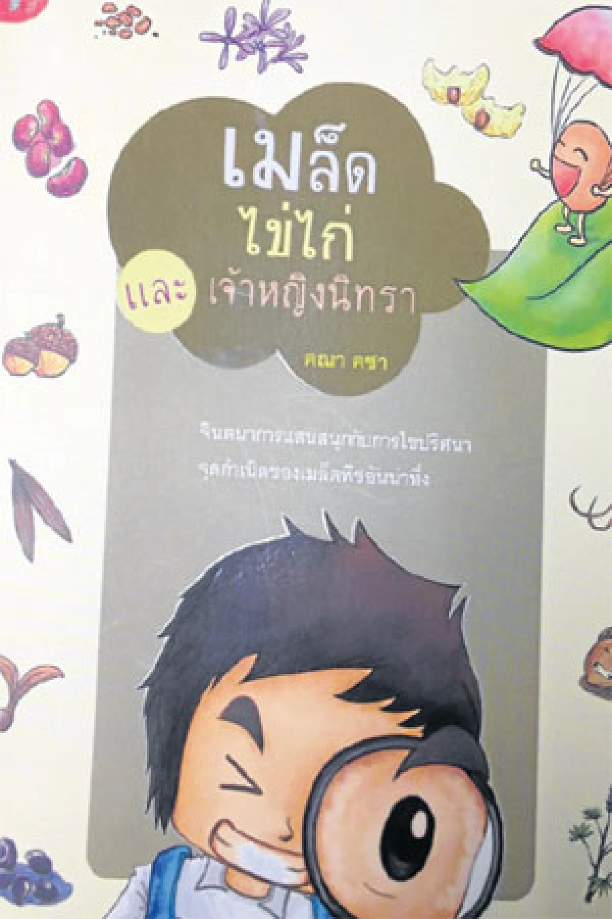 เมล็ดไข่ไก่และเจ้าหญิงนิทรา