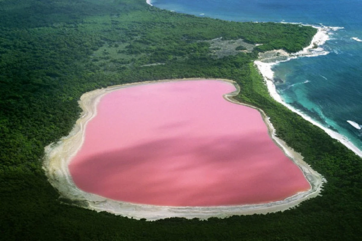 สีสันธรรมชาติ
