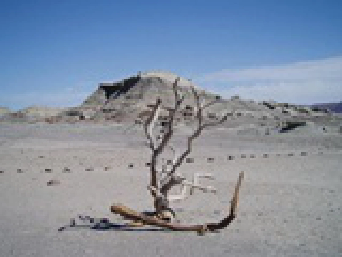 barren