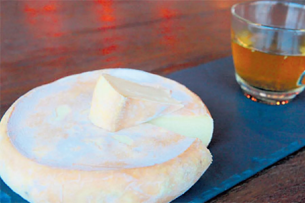 จับคู่ชีสกับอาหาร – เครื่องดื่ม แบบมืออาชีพ