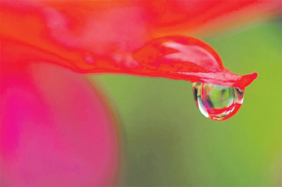 ปริศนาในงานศพ