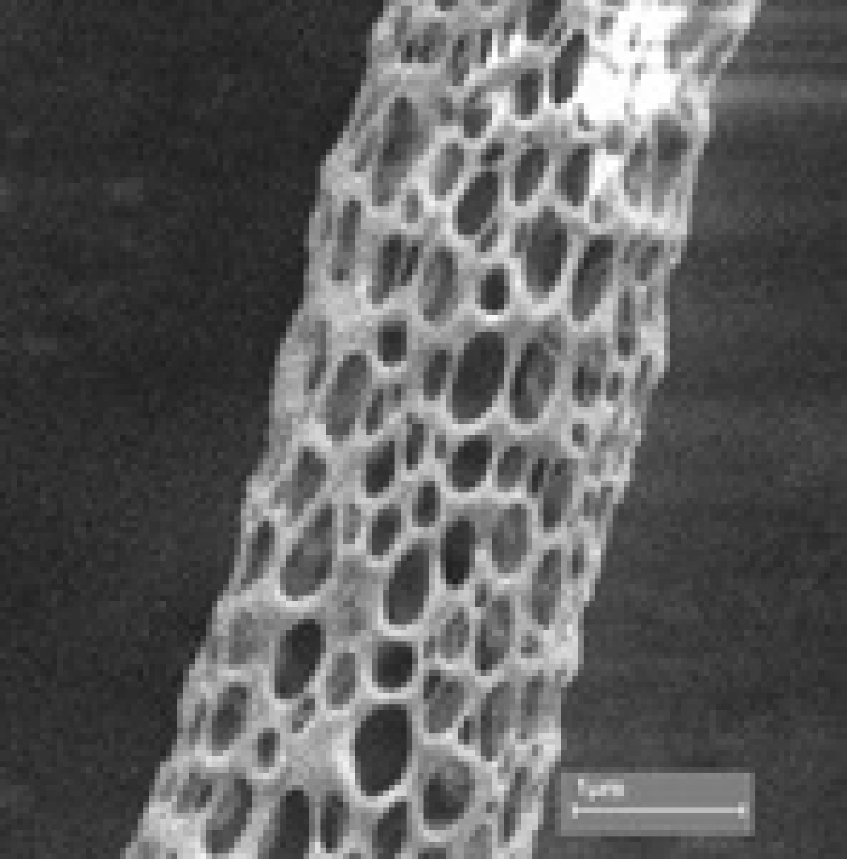 porous