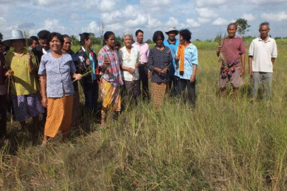 โคราชประกาศพิบัติแล้งแล้ว25อำเภอ โคราชประกาศพิบัติแล้งแล้ว25อำเภอ
