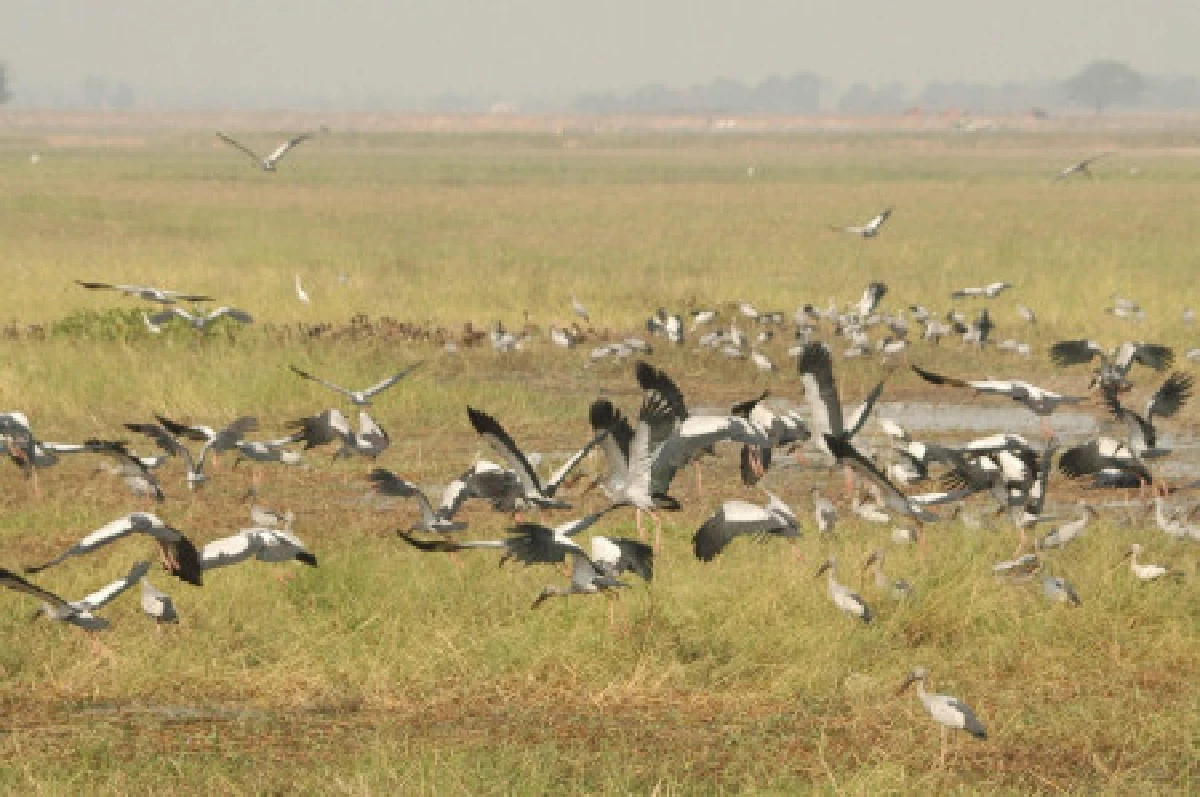 ย้อนดูปฏิกิริยาเมื่อไม่มีวันสิ้นโลก