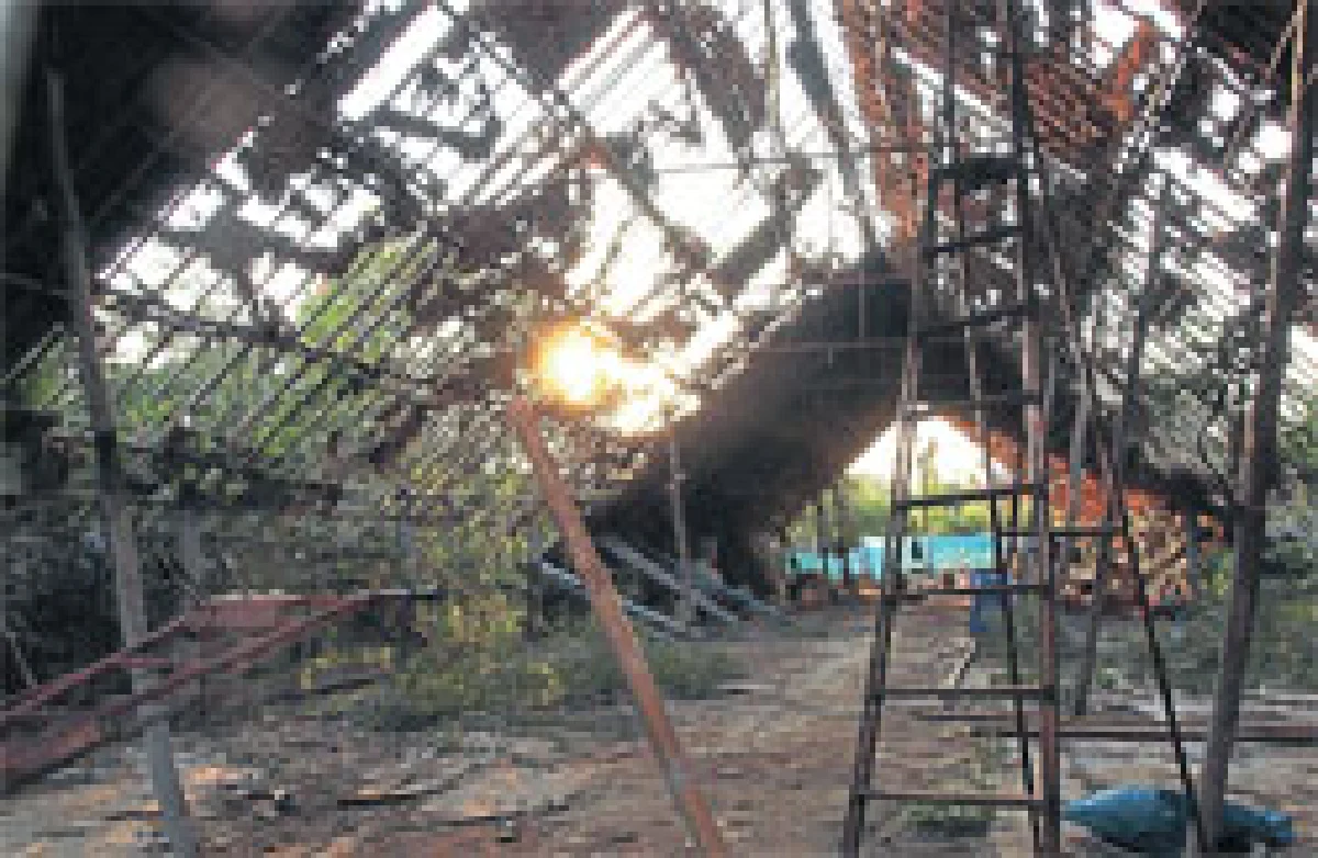 เกษตรพันธสัญญา:จุดจบเกษตรกรไทย สัญญาทาสที่ต้องแก้ให้เป็นธรรม