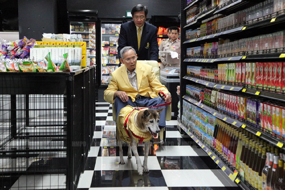 The King frequently seen in public in 2012