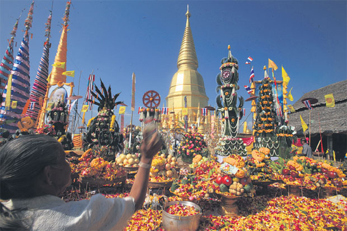 ศรัทธาจากพงไพร ศรัทธาจากพงไพร