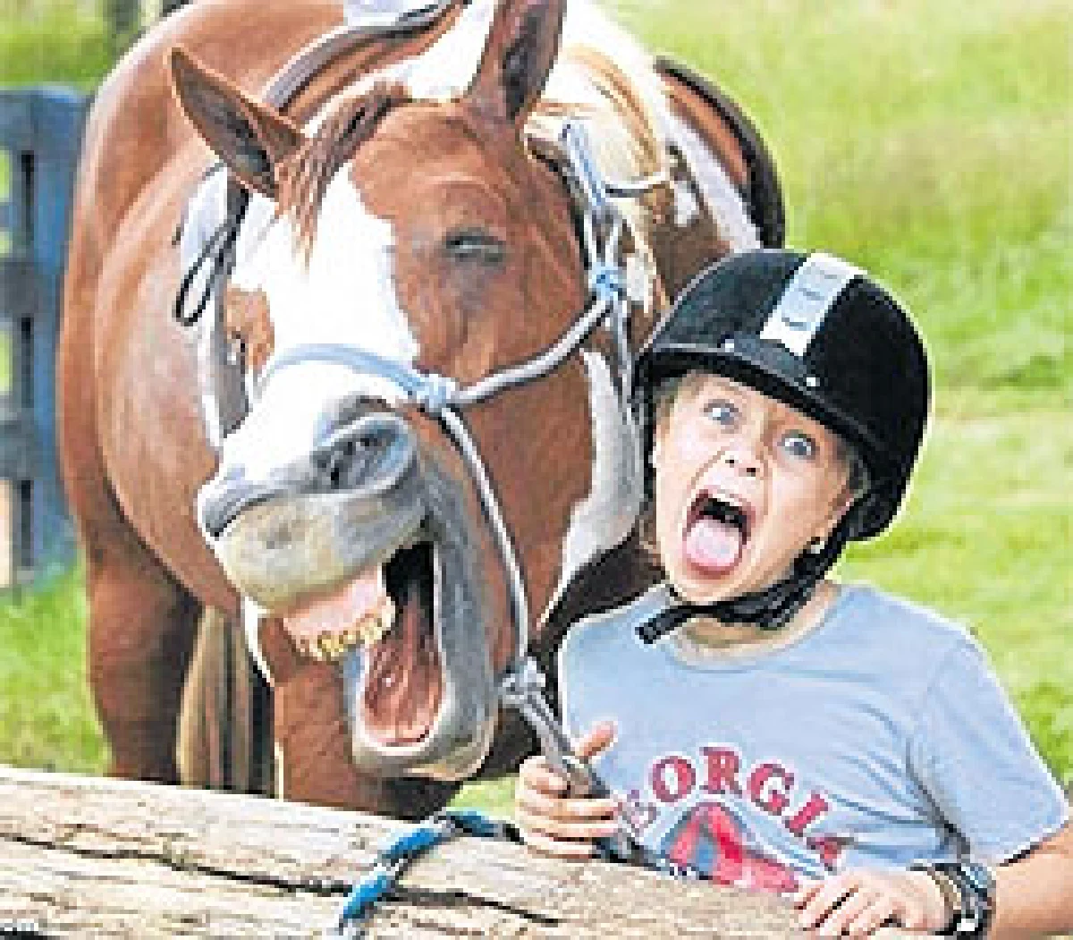 ทะเล้นแห่งปี