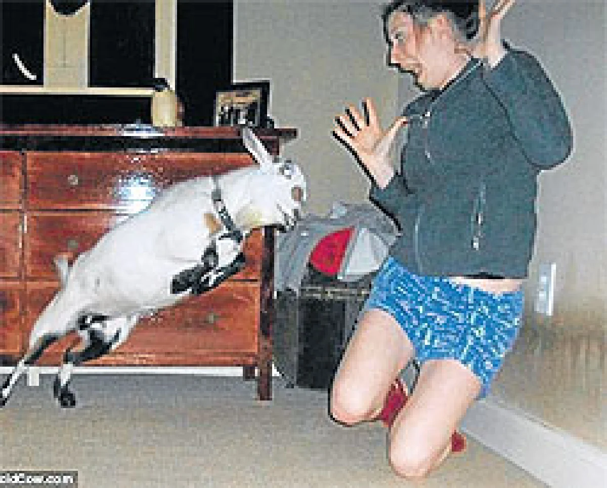 ทะเล้นแห่งปี