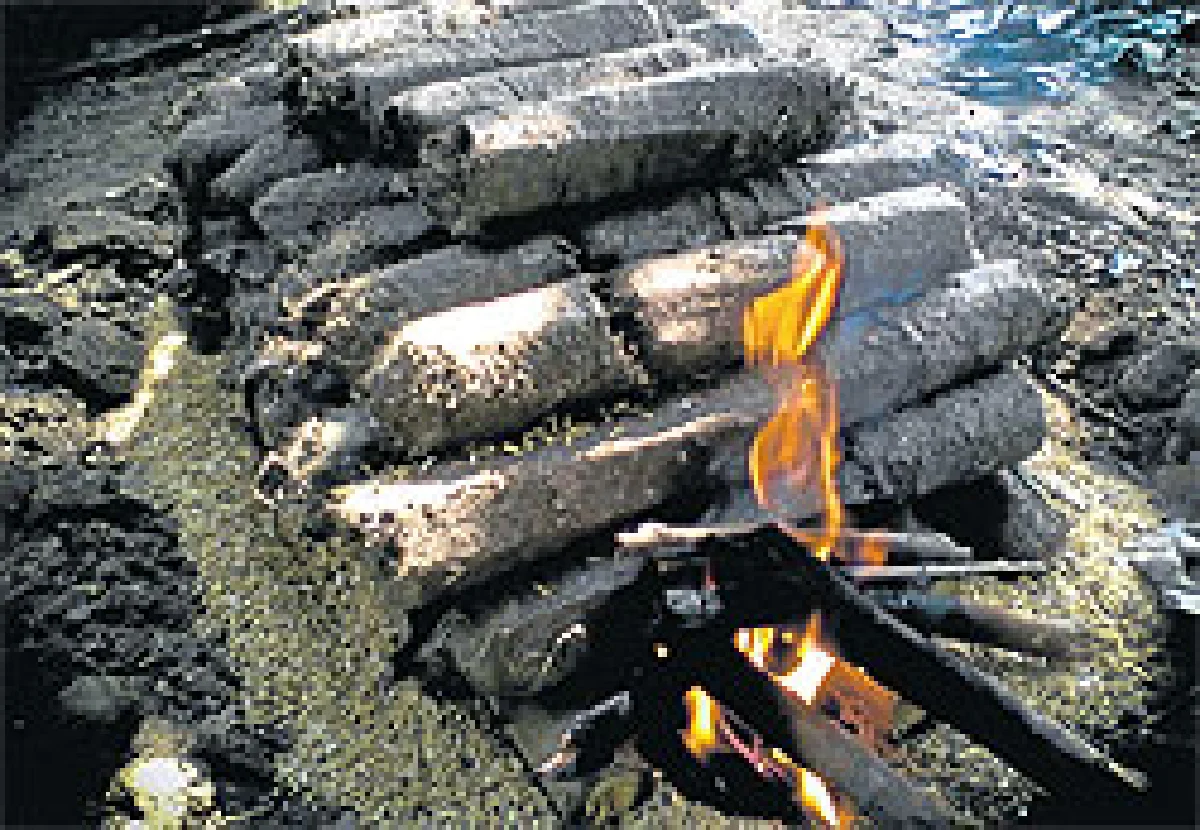 แปรผักตบชวาเป็นถ่านอัดแท่ง