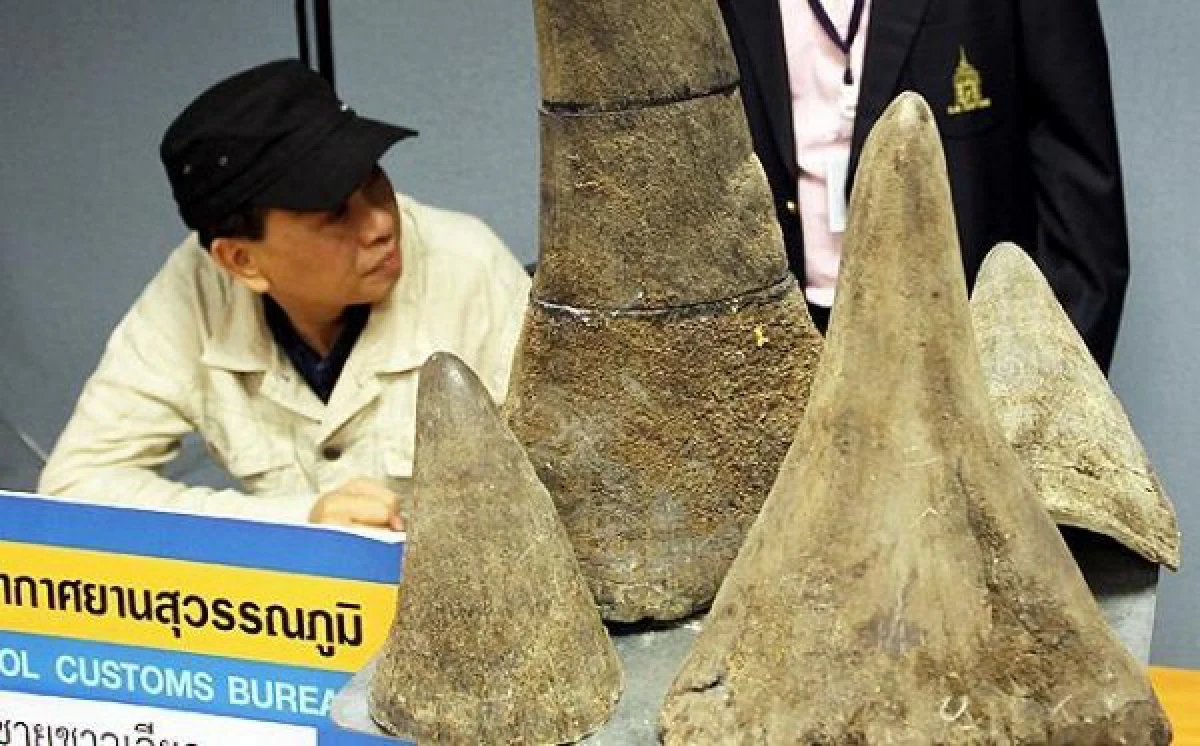Rhino horn seized in Bangkok, Ho Chi Minh