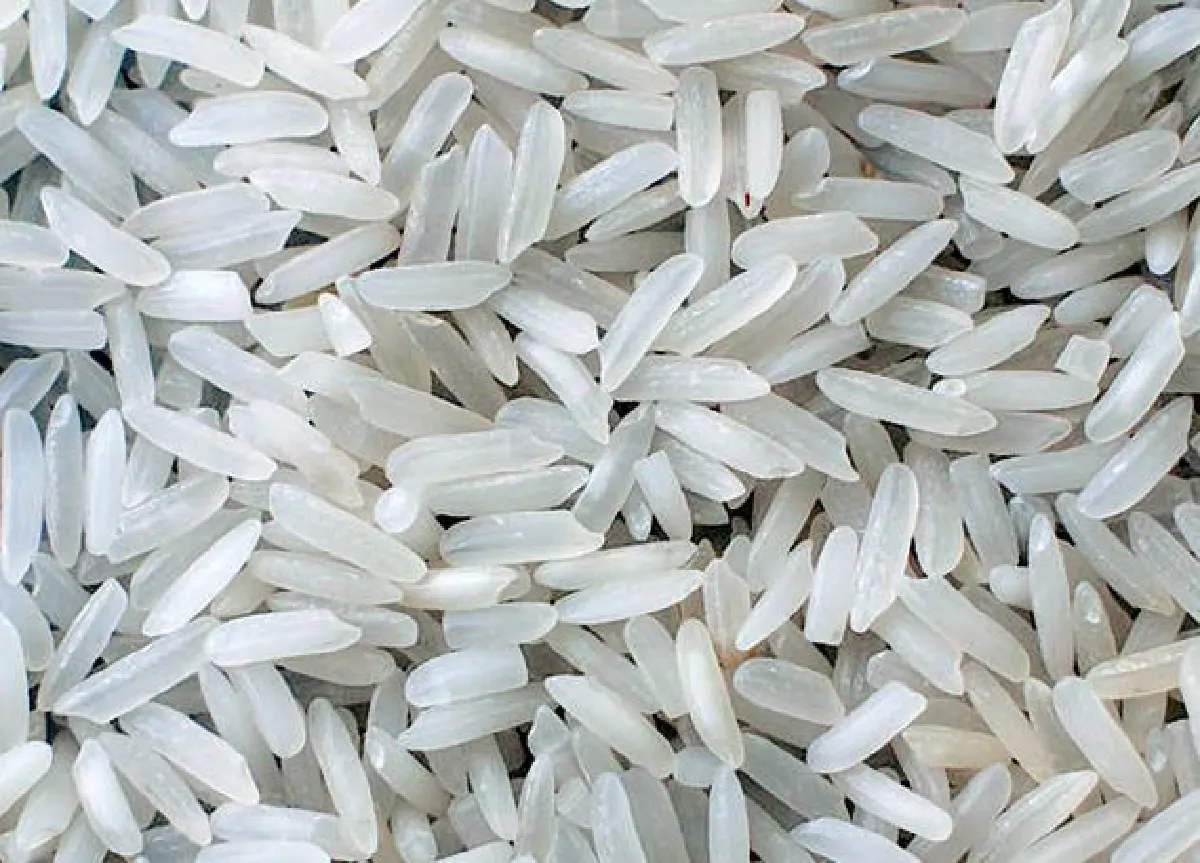 Rice research: Thai rice comes out on top